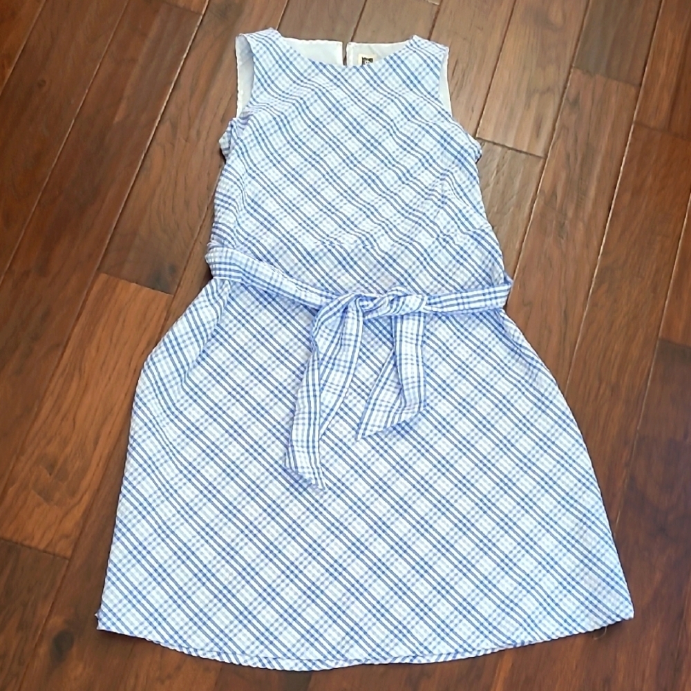 Anne Klein Blue & White Checkered Sleeveless Dress size 10